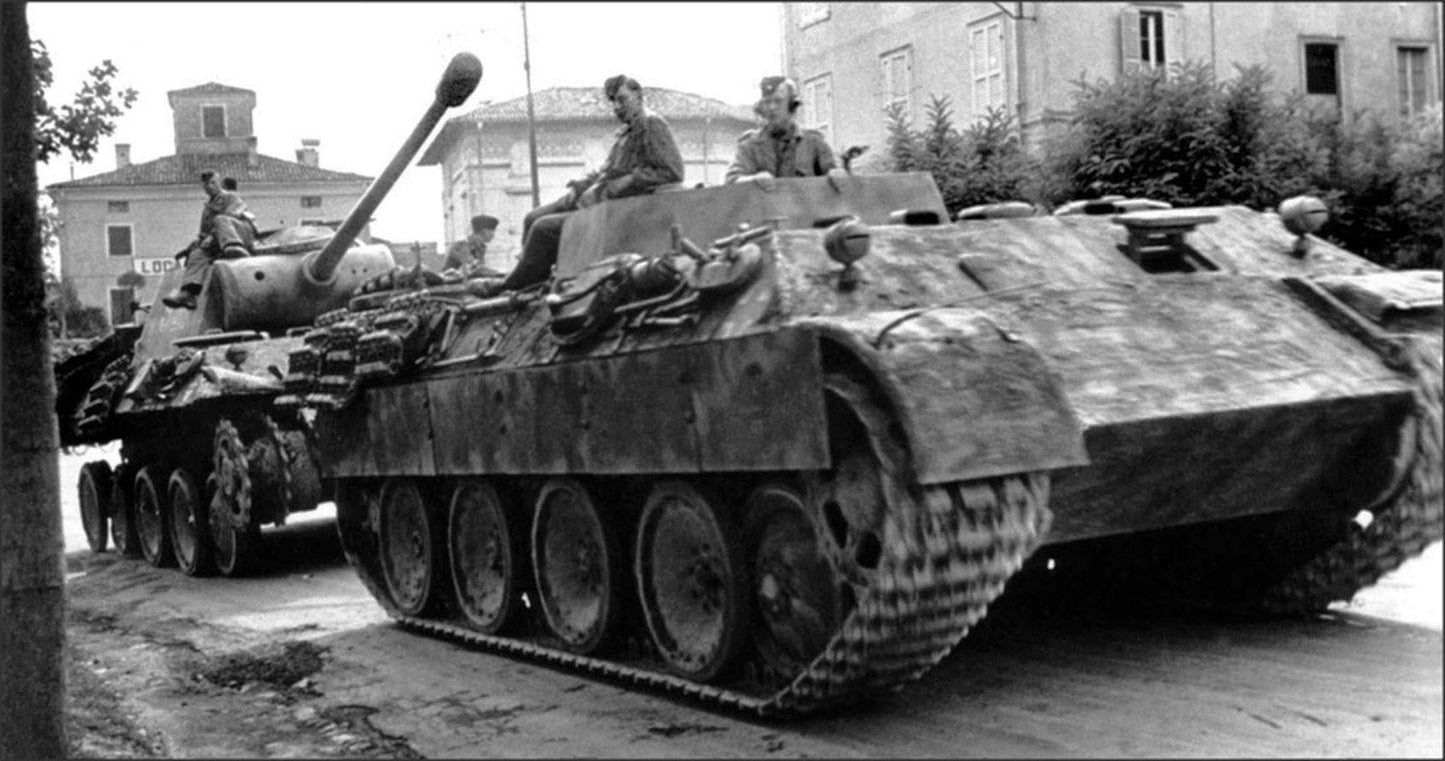 WW2 Ⅳ Tank turret mounted type Bergepanther - MOMCOM inc.